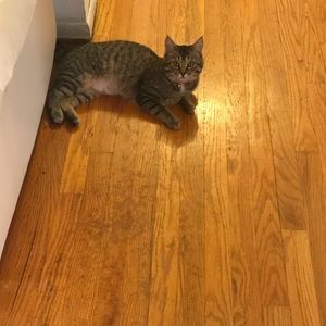 Meet your Posher, Heather